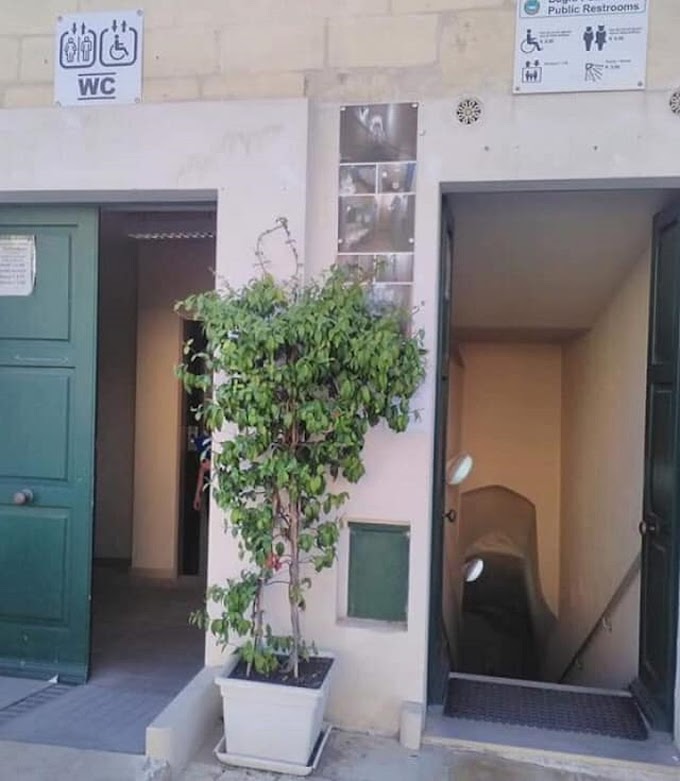 Matera: affidata la gestione dei bagni pubblici comunali