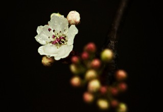IMG_6026-2