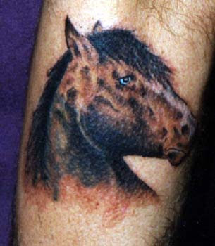 Animal Tattoo Horse