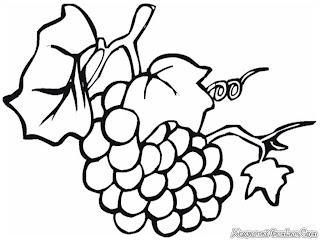 Grape Coloring Pages