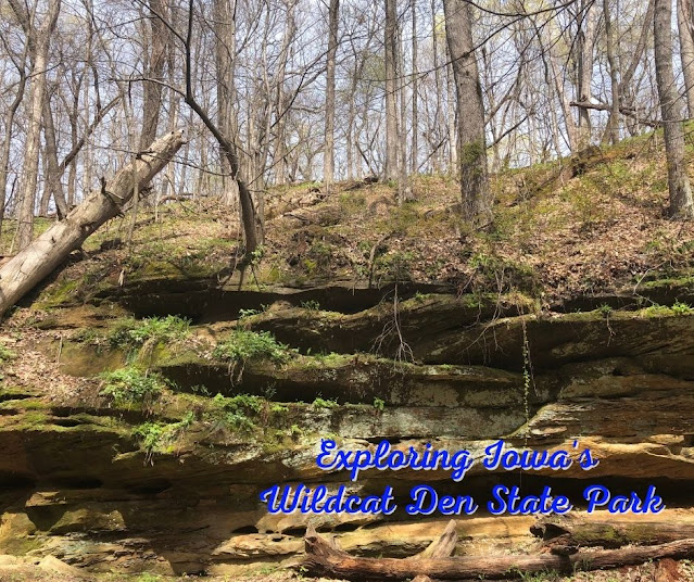 Canyons, Waterfalls, Wildflowers and History at Wildcat Den State Park in Muscatine, Iowa