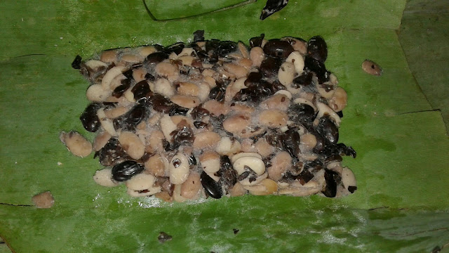 Bahan Baku "Tempe Kedelai Hitam"