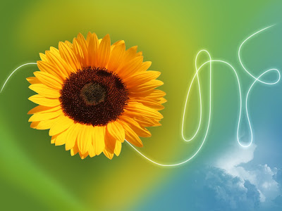 sunflowers wallpaper. breathtaking wallpaper .