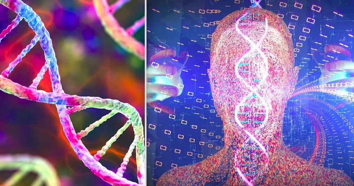 Scientists Have Mapped The Complete Human Genome For The First Time