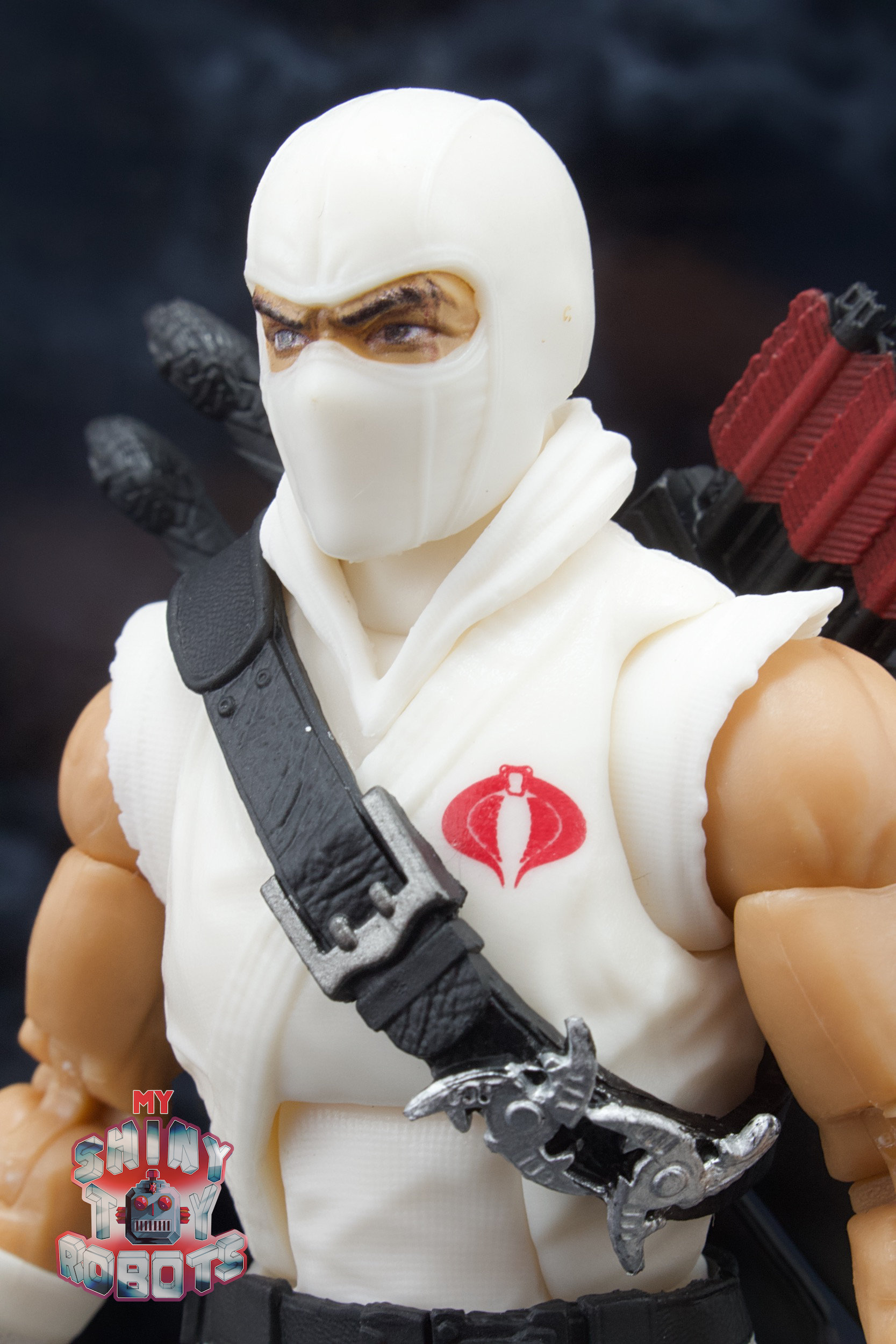 My Shiny Toy Robots: Toybox REVIEW: G.I. Joe Classified Series Storm Shadow