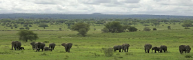 http://www.tanganyika.com/ru/our-agency/our-accomodation/grumeti-hills/