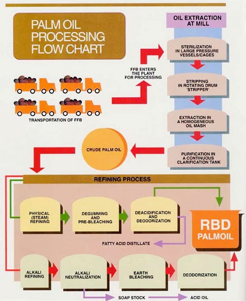 Profitability &amp; Quality of Plantation Company