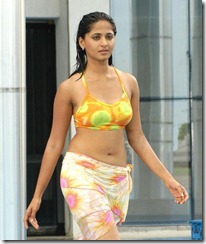 Indian Bikini (3)