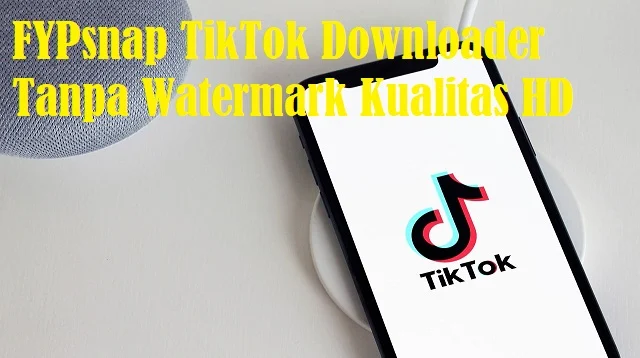 FYPsnap TikTok Downloader Tanpa Watermark Kualitas HD