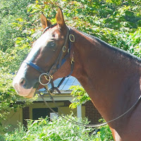 kat horse riding