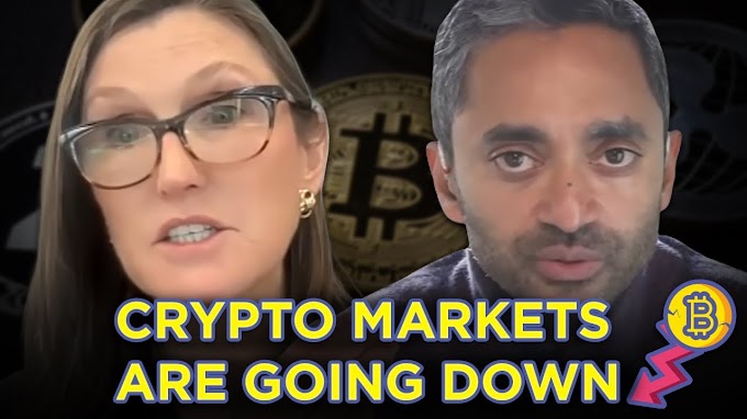 Crypto Markets Are GOING DOWN (Right Time To Buy?) - ft. Chamath Palihapitya and Cathie Wood