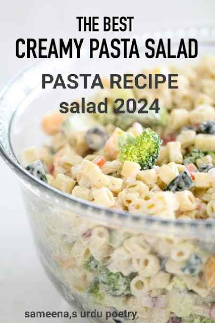 PASTA RECIPE salad 2024
