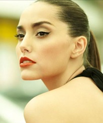 imagem12