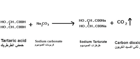 كيمياء الخميرة_ساينسوفيليا