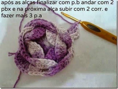 rosa z d