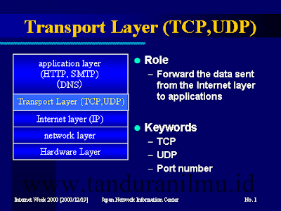 Pengertian Layer Transport Pada Model OSI dan Protokol Implementasinya