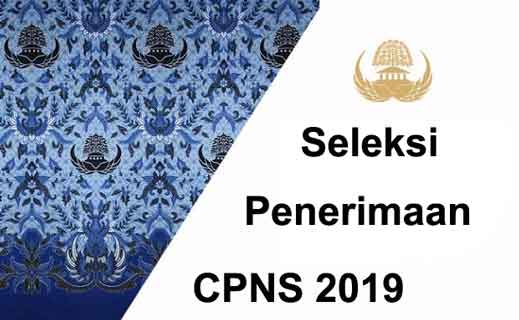 daftar instansi paling banyak dan paling sedikit pelamarnya