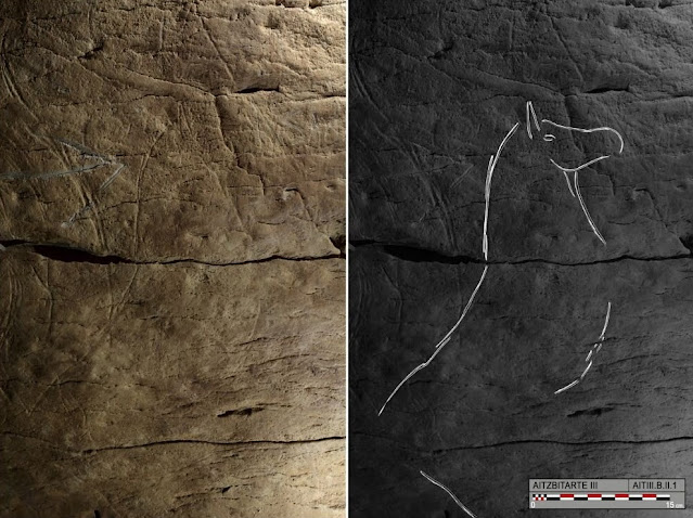 Bison engravings in Spanish caves reveal a common art culture across ancient Europe