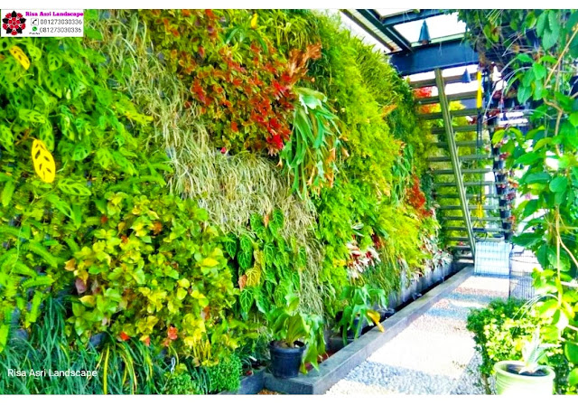 Jasa Vertical Garden Jakarta - Tukang Taman Vertikal - Jasa Vertical Garden Jakarta, Green Living Wall,  Green Garden Jakarta, Bogor, Depok, Tangerang, Bekasi.