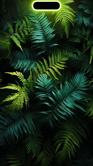 Dynamic Island Foliage iPhone Wallpaper 4K is free wallpaper. First of all this fantastic wallpaper can be used for Apple iPhone and Samsung smartphone.