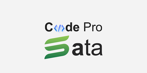 Code Pro đổi tên công ty thành Sata