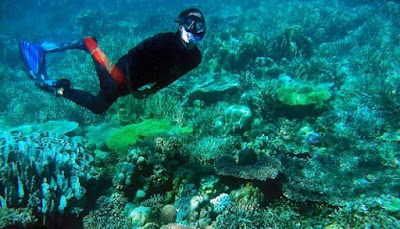 Snorkeling Pulau Labengki