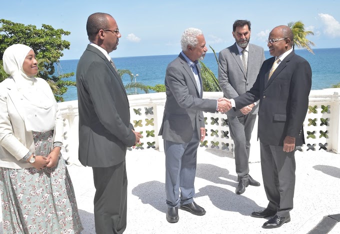 Rais Dkt.Mwinyi:Profesa Abdulrazak Gurnah umeipa Zanzibar heshima kubwa Kimataifa, hongera sana