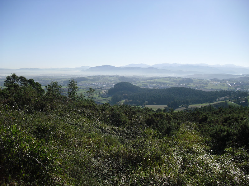 Monte Tolio