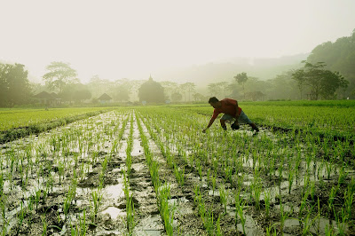 farmer story