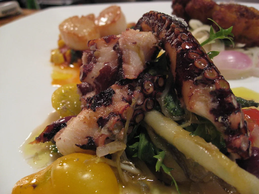 succulent octopus french