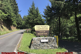 Cape Perpetua Siuslaw National Forest 