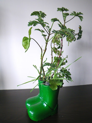 Green - Boots floral arrangements with Mexican Sage Pelargonium 