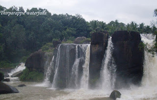 Thirparappu falls