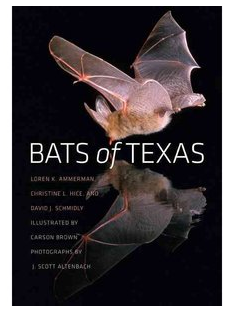 Watching Bats In Austin Books And Resources Classroom