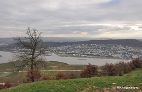 Christmas Market Magic...Cable car, Rudesheim Germany