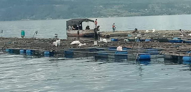 KJA di Perairan Danau Toba Pelabuhan Tigaras Ditarik