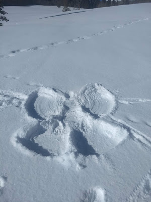 snow angel photograph