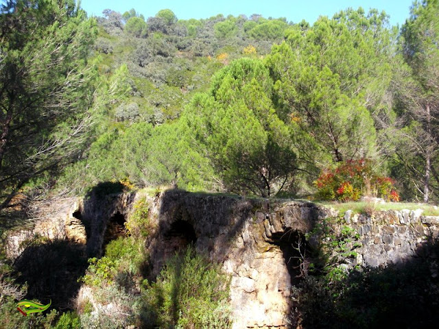 Ruta de Los Puentes (Sierra Morena Cordobesa)