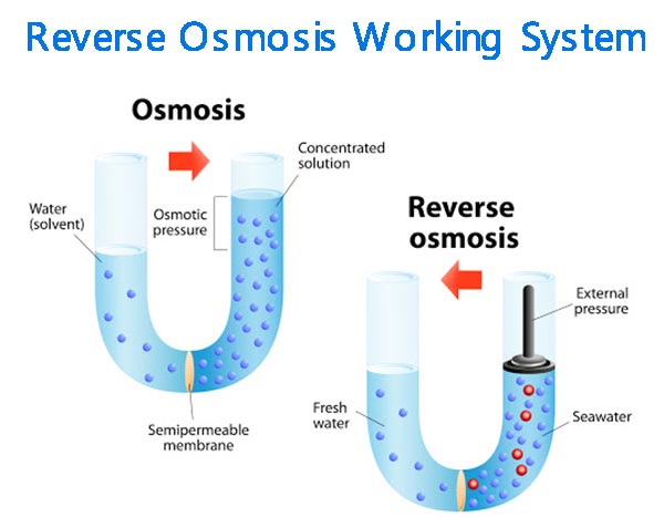 A Reverse Osmosis Working System