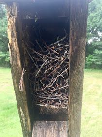 who built this stack of twigs?