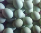 telur