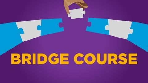 BRIDGE COURSE