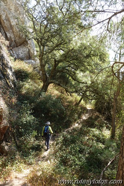 Los Algarbes - Betijuelo - San Bartolomé - Punta Paloma - Duna de Valdevaqueros