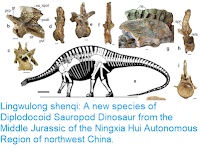 https://sciencythoughts.blogspot.com/2018/07/lingwulong-shenqi-new-species-of.html