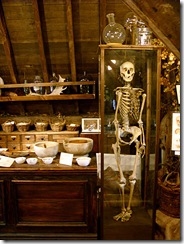 The Old Operating Theatre Museum - skeleton