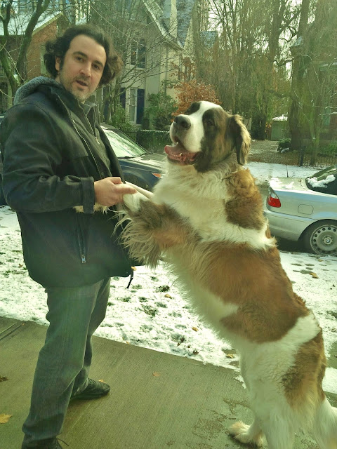 Training a Gentle Giant — Shay The Saint Bernard, One Lucky Soul