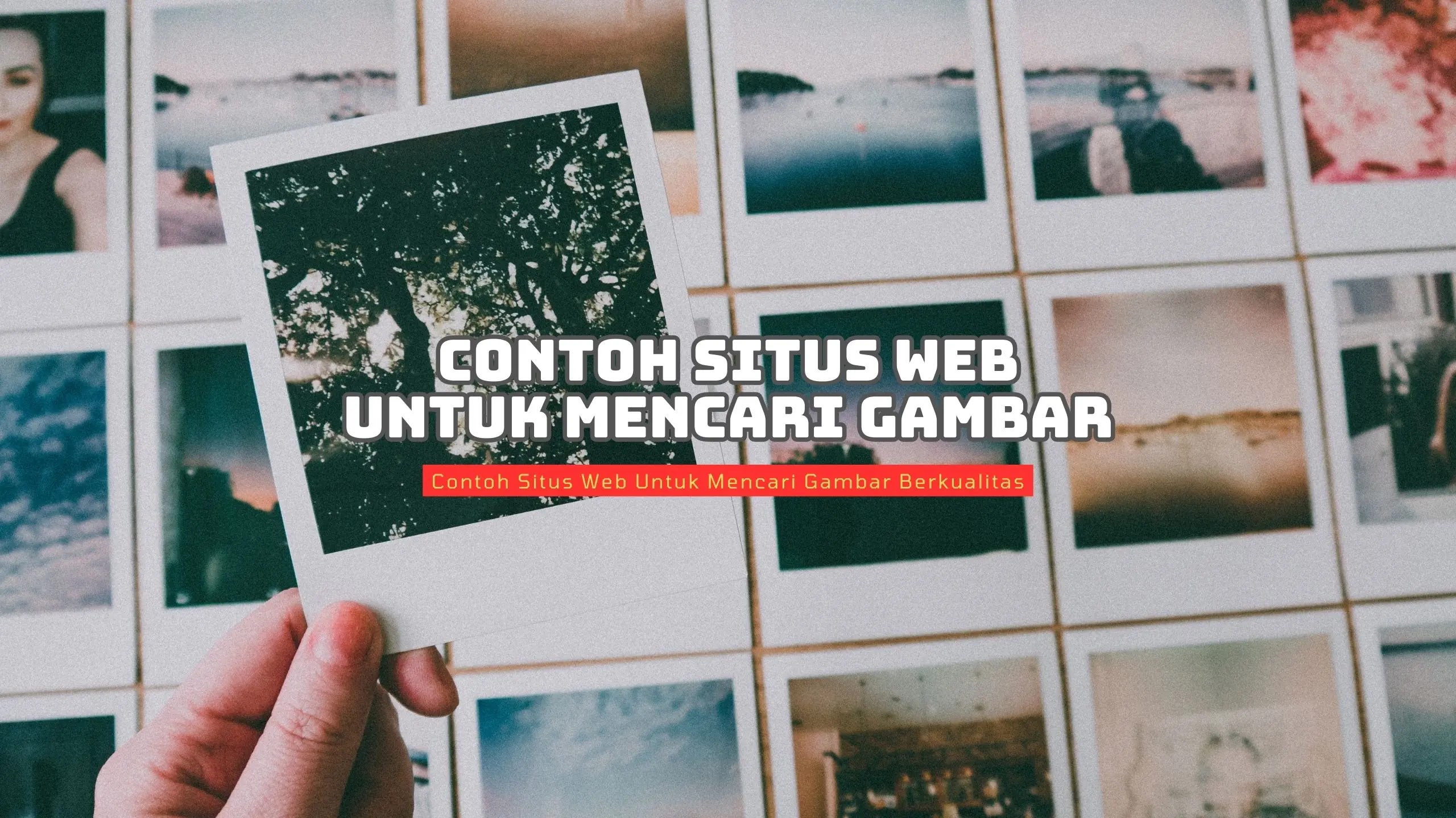 Contoh Situs Web Untuk Mencari Gambar