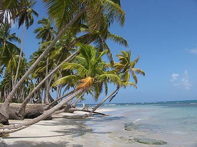 Playas De Republica Dominicana