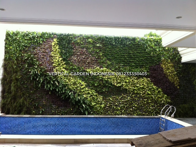 VERTICAL GARDEN INDONESIA SPESIALIS JASA PEMBUATAN VERTICAL GARDEN DI CIBUBUR DAN DI SELURUH WILAYAH CIBUBUR  DENGAN TENAGA YANG PROFESIONAL DAN DAPAT DI PERCAYA YANG SELALU MENGUTAMAKAN SEBUAH MUTU DAN KUALITAS PEMASANGAN VERTICAL GARDEN/TAMAN DINDING, JASA TUKANG TAMAN VERTICAL CIBUBUR , JASA VERTICAL GARDEN CIBUBUR 