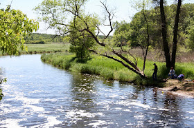 fishing the Sunrise River, a St. Croix tributary